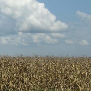 Helen Spyker & Spyker Farm